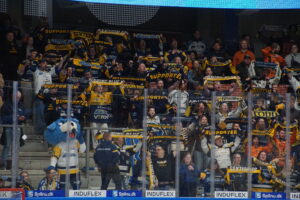 Stor hyldest af Fecers: Ser ud til at have en god fremtid foran sig